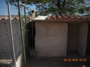 P33 Burgos19