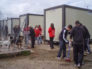 P33 Burgos22