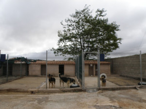 P33 Burgos32