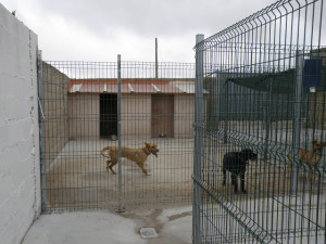 P33 Burgos38