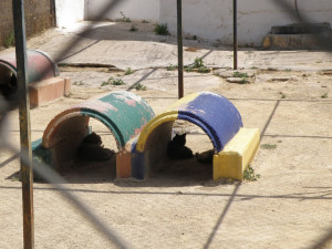 P28 Almansa05