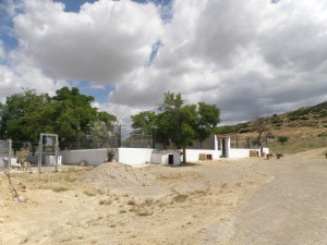 P28 Almansa09