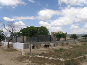 P28 Almansa18