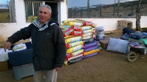 P28 Almansa24