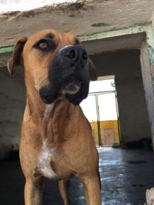 valdepenas12